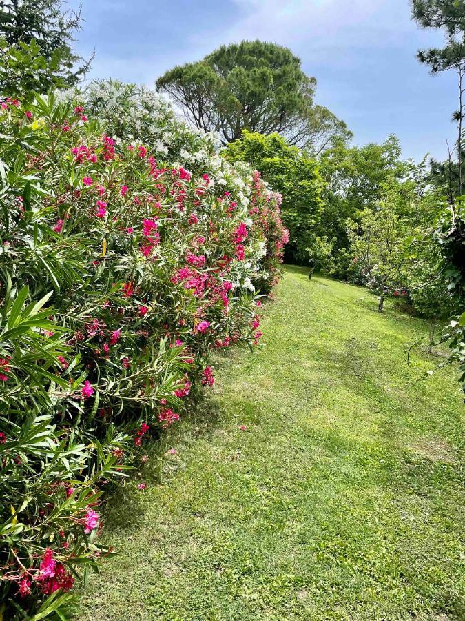 Gites Au Chateau Des Estubiers Les Granges-Gontardes Esterno foto